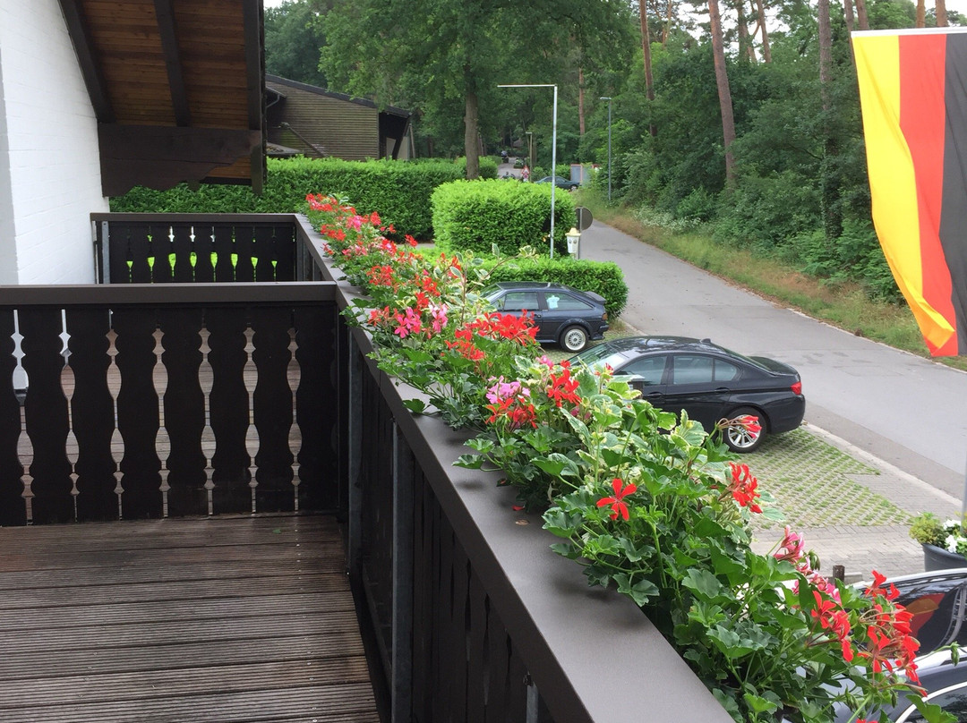 Landhotel Linden Am Venekotensee主图