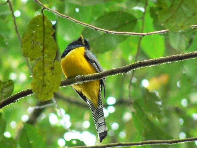 Sierpe River Camp主图