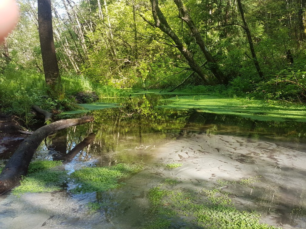 Watershed Park景点图片