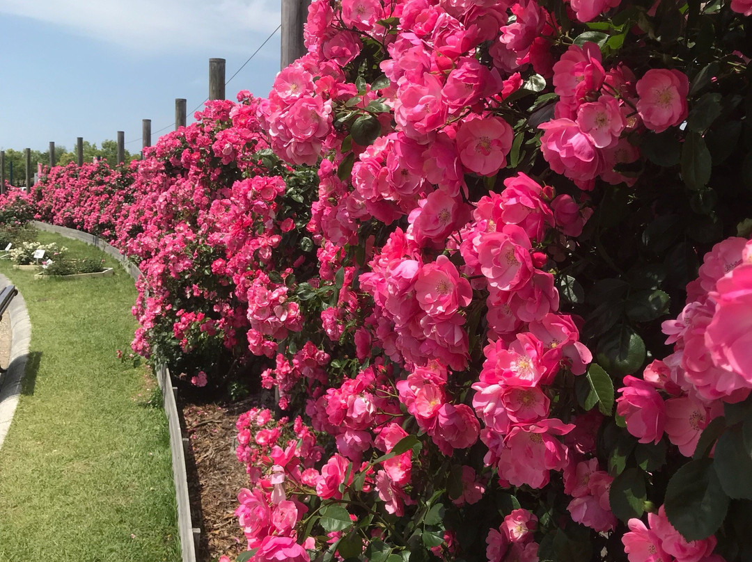 Eco Park Minamata-水俣市必去景点