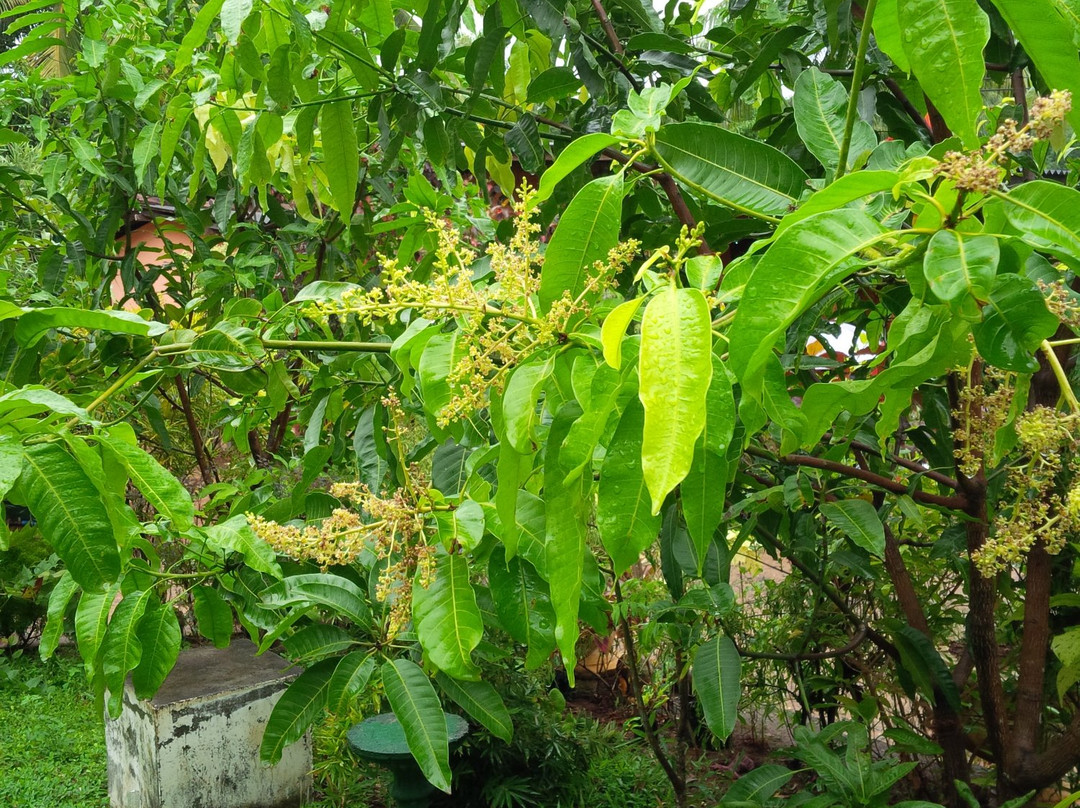 Dad's Holiday Home主图