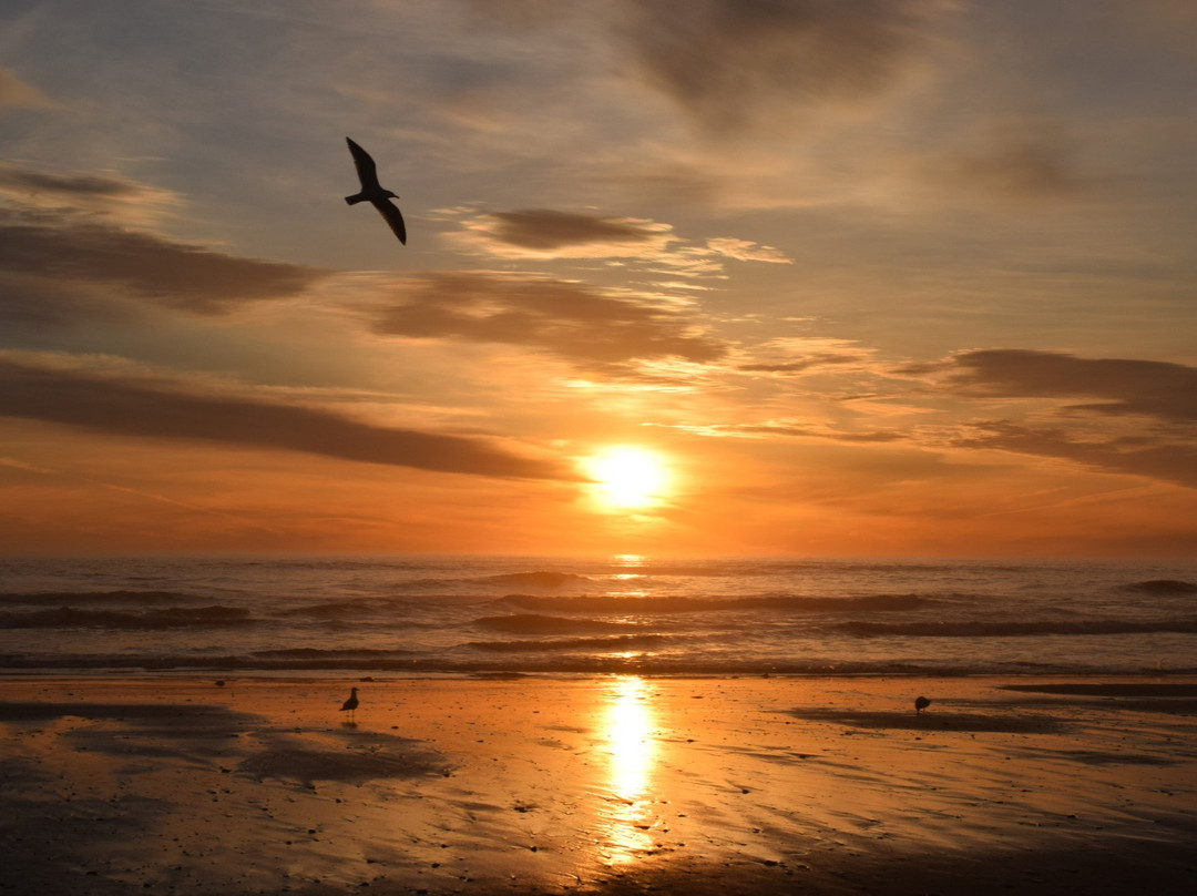 Union Bluff Hotel & Meeting House主图