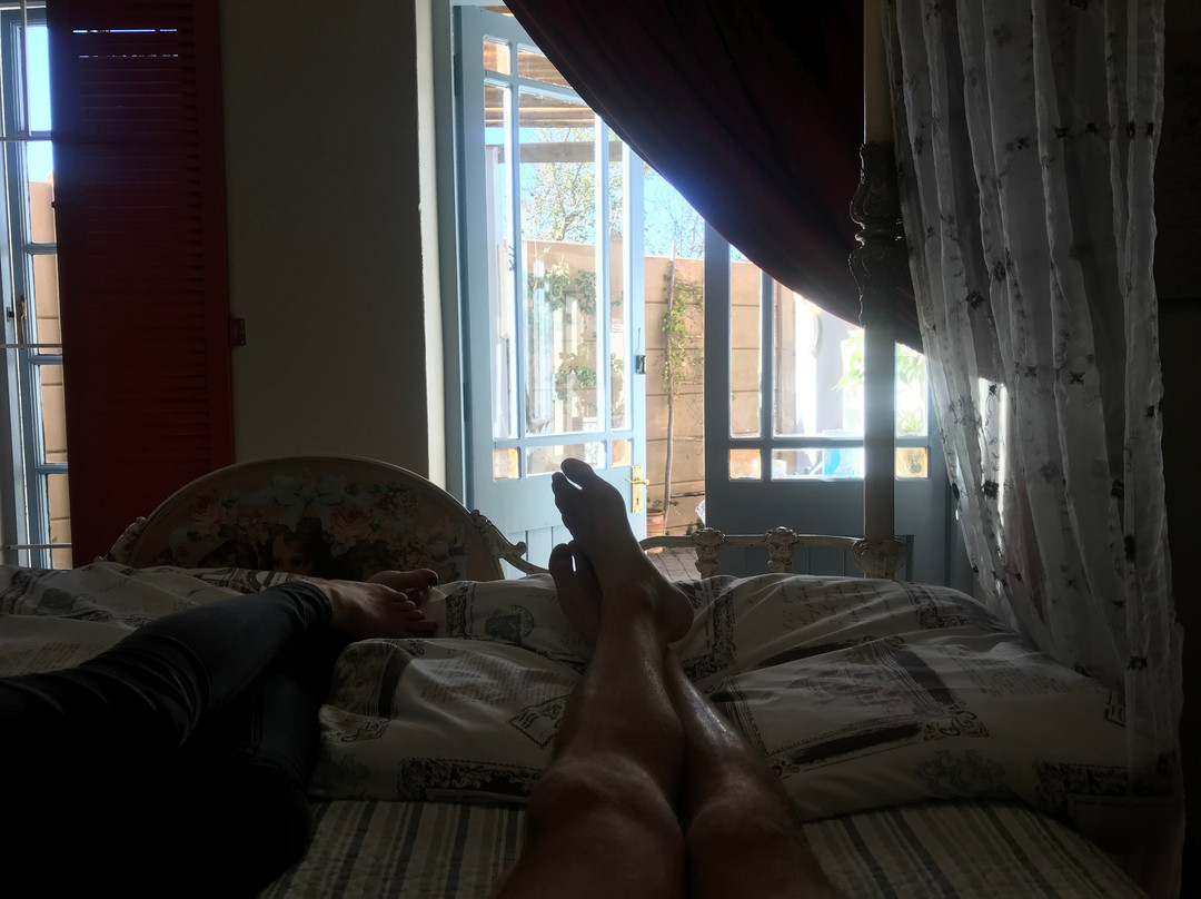 The Victorian Cow主图