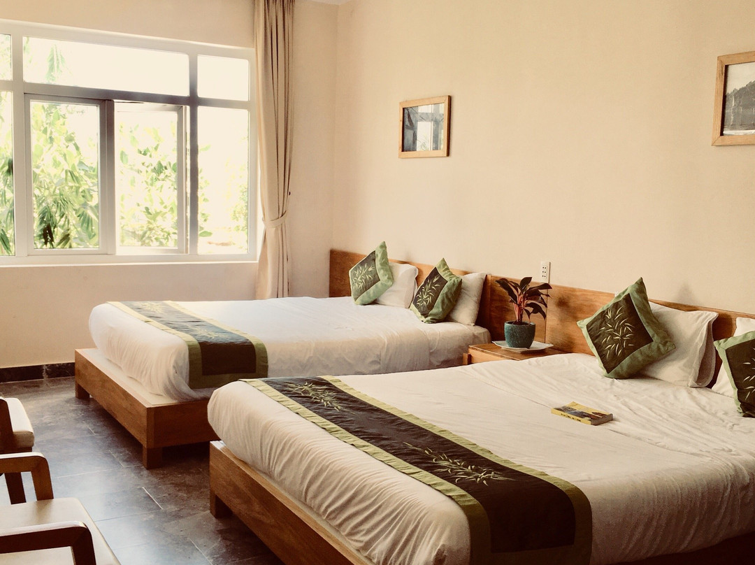 Jolie Villa Hoi An Homestay主图