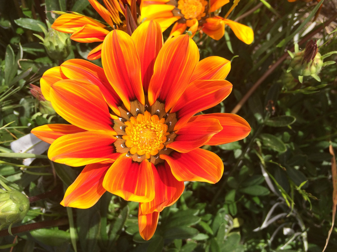 Bedwell Bayfront Park-门洛帕克必去景点