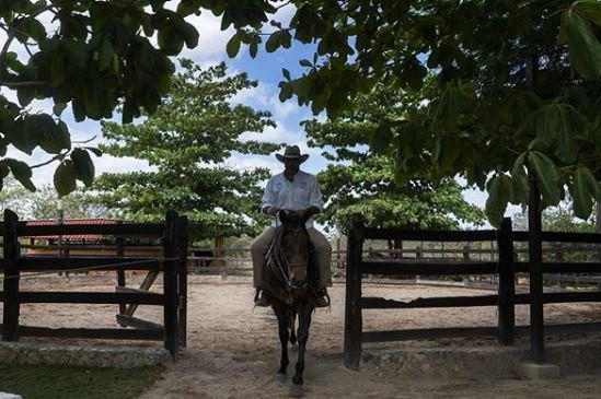 Maya Amazing Adventures-梅里达必去景点