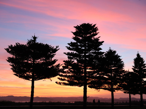 Whispering Sands Beachfront Motel主图