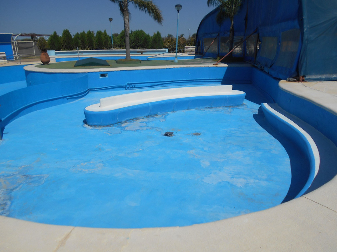 Termas de Basavilbaso景点图片