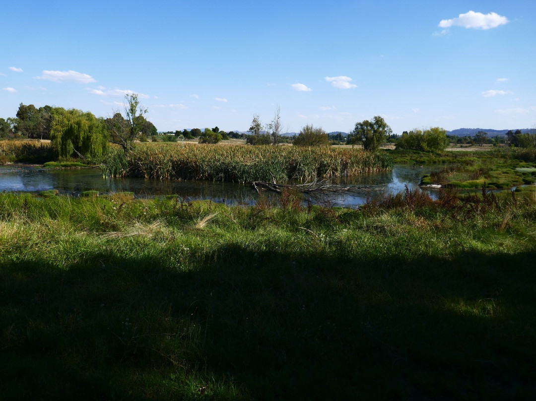 Jerrabomberra Wetland景点图片