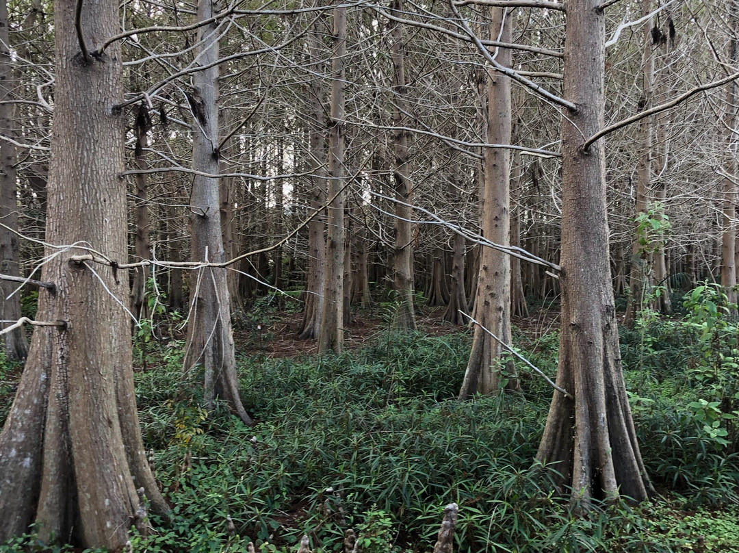 Pembroke Lakes Mall-彭布罗克派恩斯必去景点