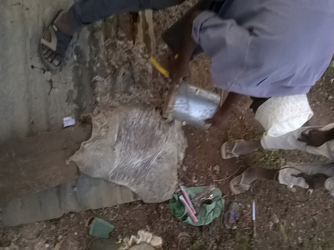 Marimba Cultural Tours Ltd.-桑给巴尔市必去景点