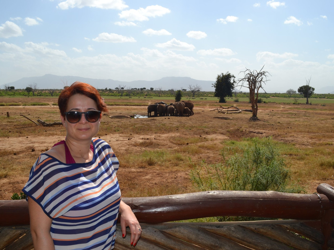 Sentrim Tsavo Lodge主图