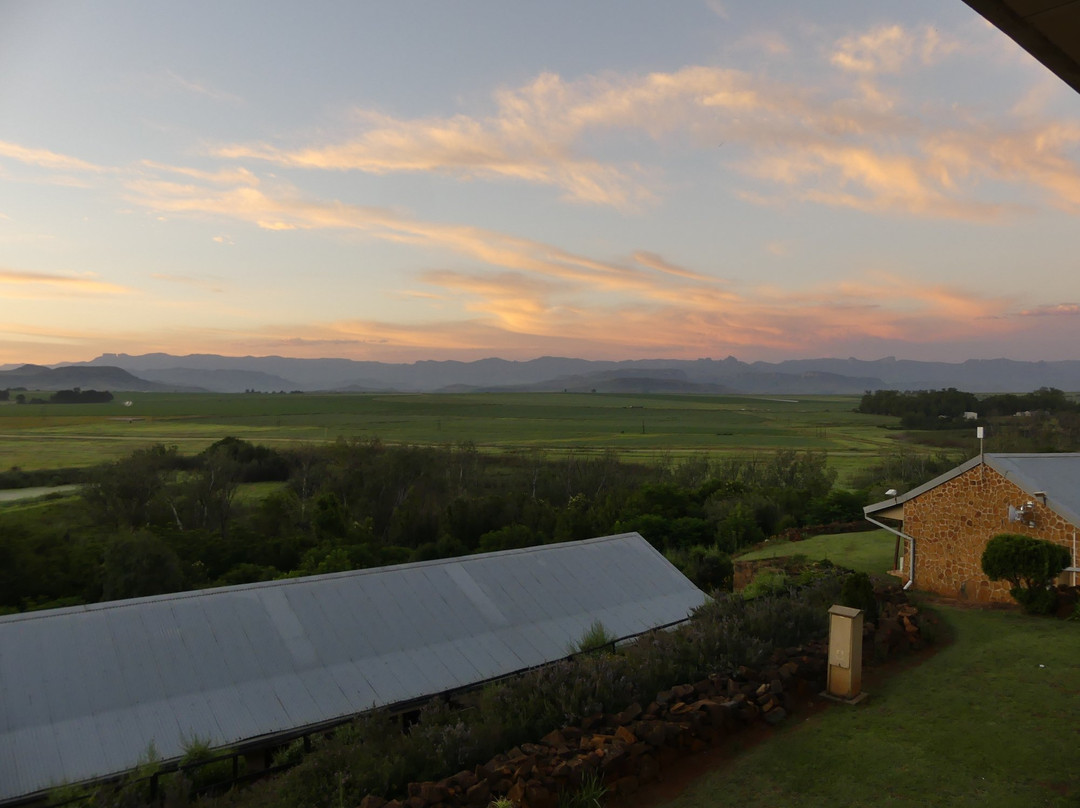 Sandford Park Country Hotel主图