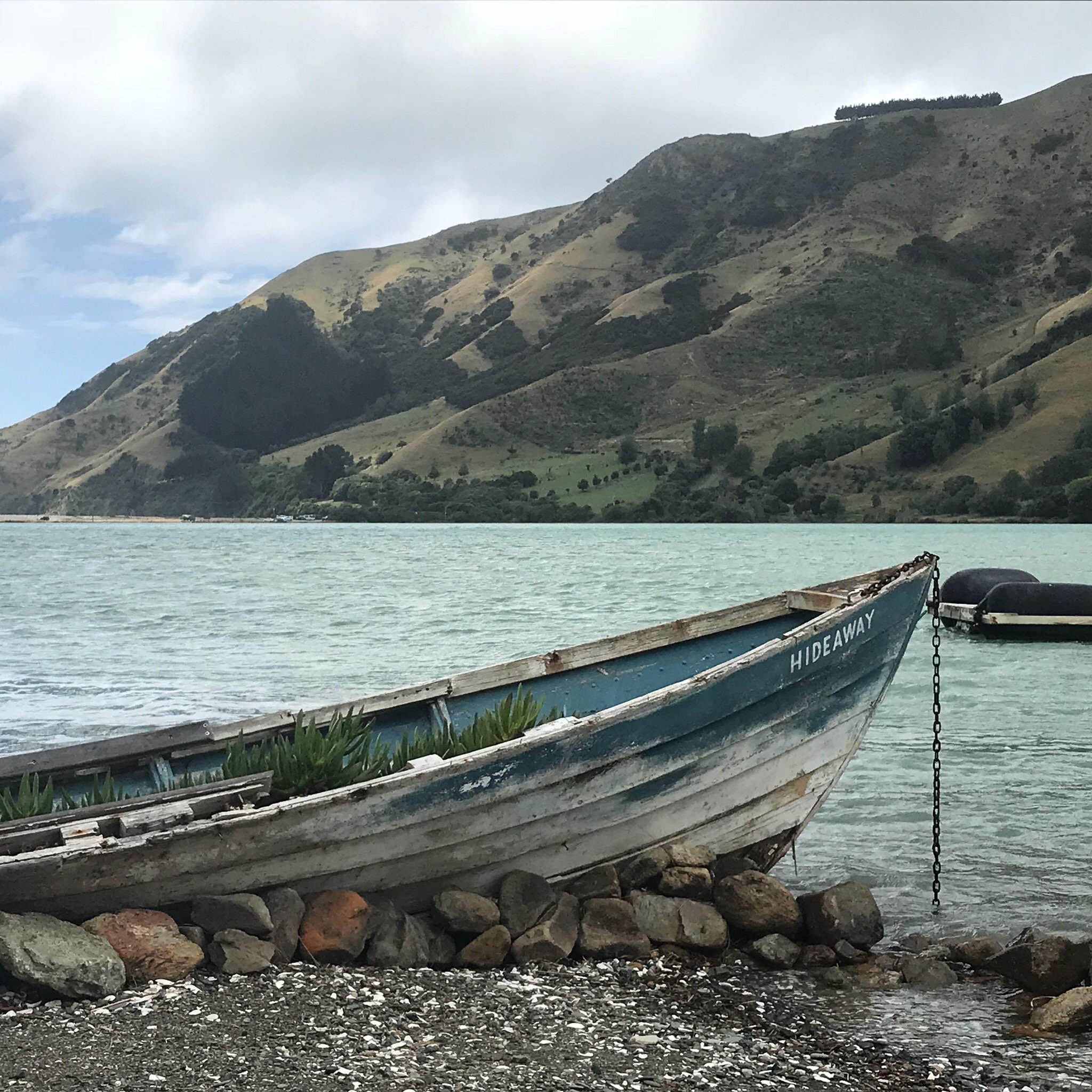 Cable Bay Lodge-Treehouse Waterfront Hideaway-泳池