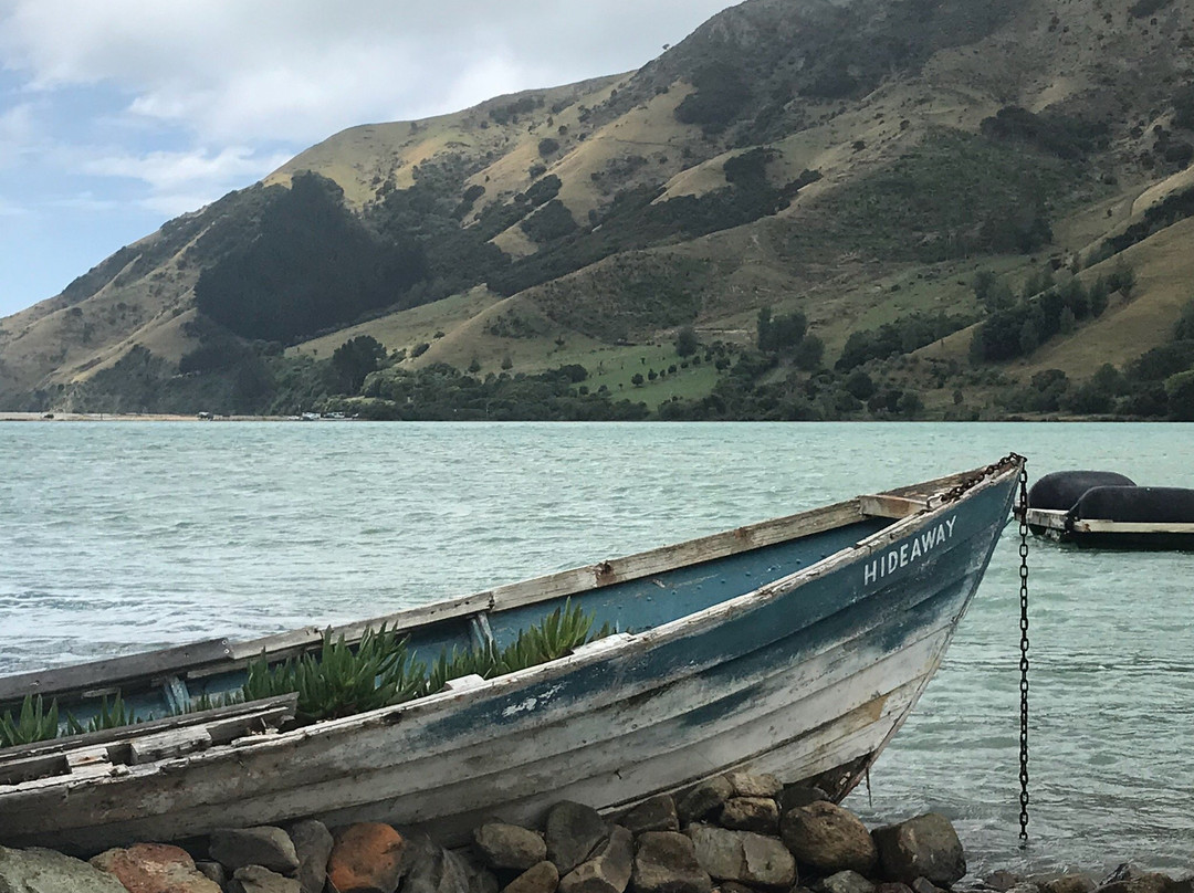 Cable Bay Lodge-Treehouse Waterfront Hideaway主图