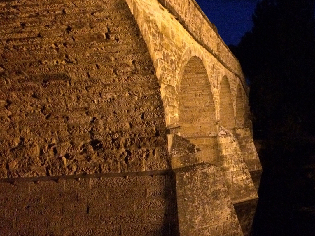 Time Tours-Richmond必去景点