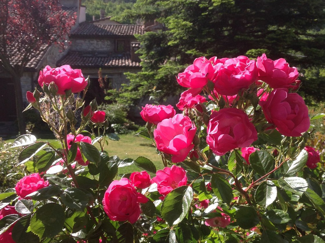 B&B Casale del Priorato主图