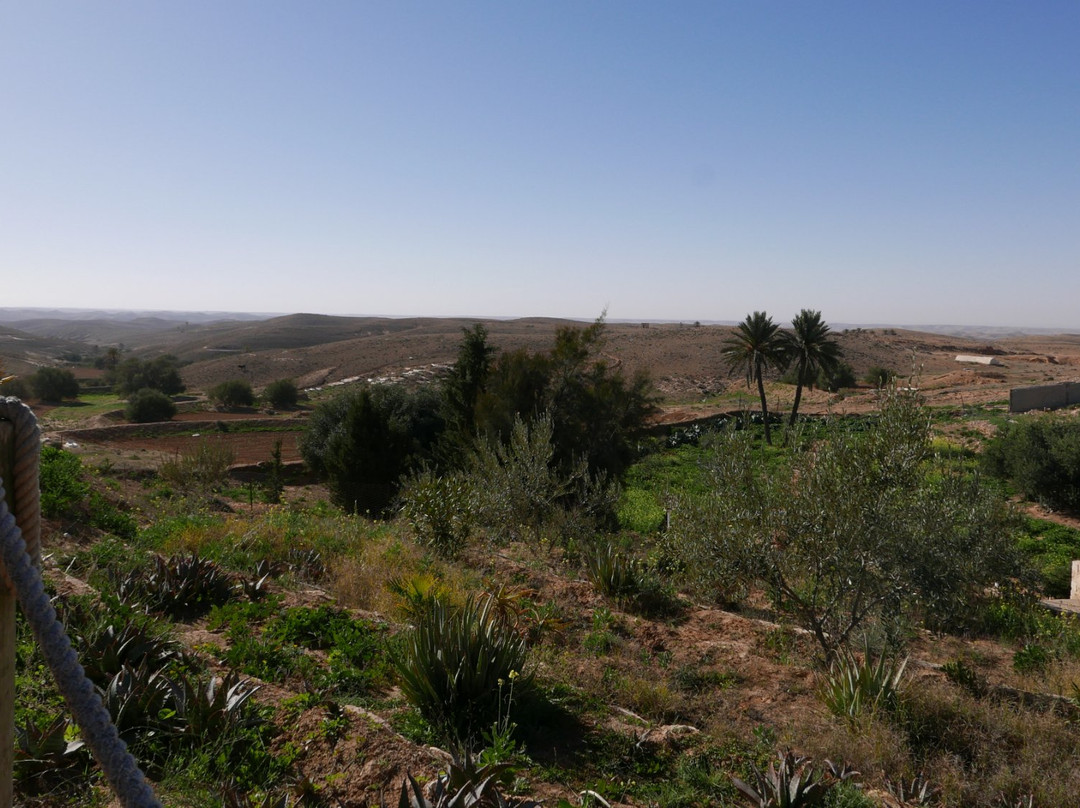 达雷耶德塔梅泽雷特酒店主图