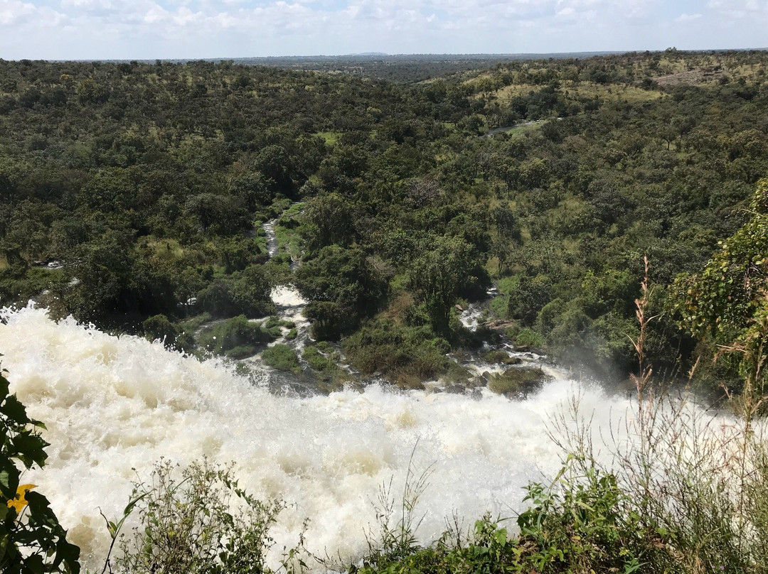 Aruu Falls Camspite景点图片