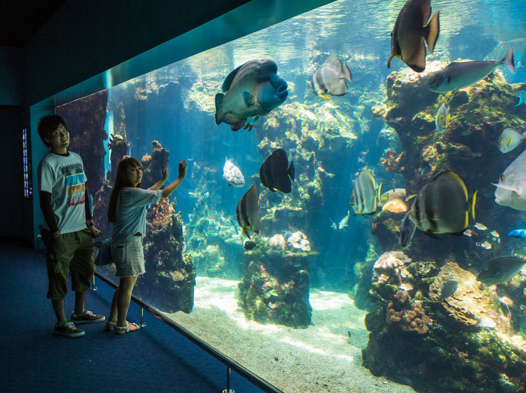 Aquarium des Lagons Nouvelle Caledonie景点图片