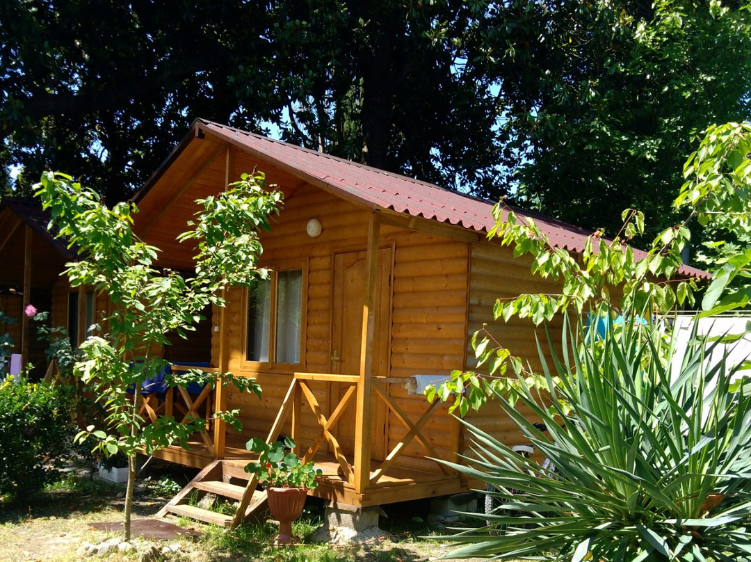 Magnoliya Guest House主图