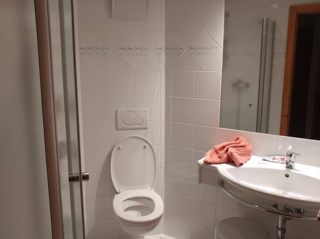 Hotel Gasthof Konig主图