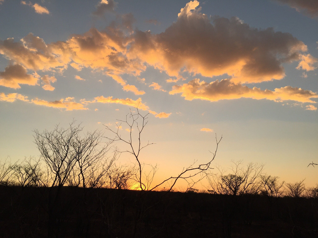 Boschfontein Guest Farm