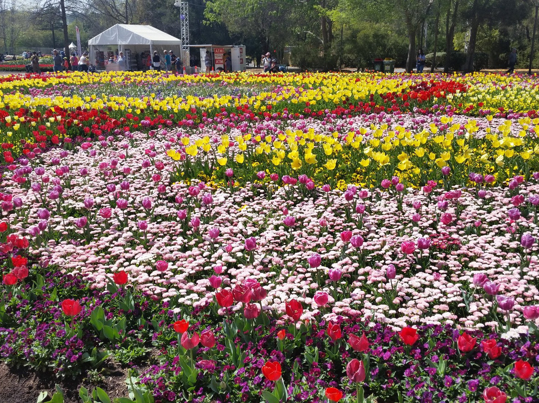 Floriade景点图片