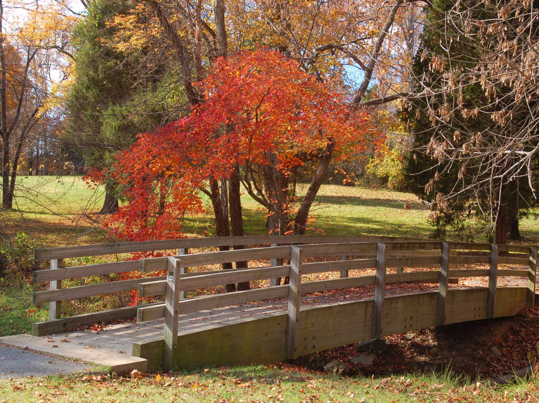 Creekside Park景点图片