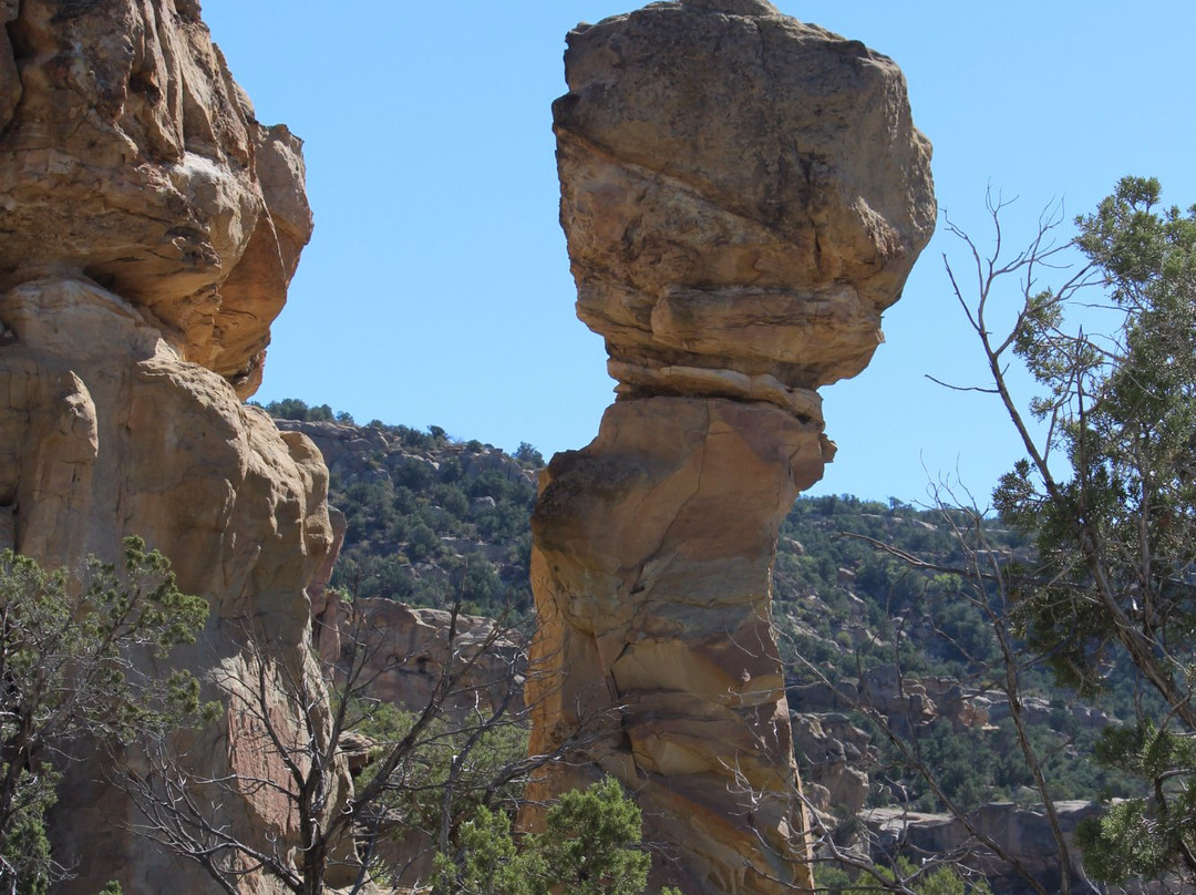 Aztec Sandstone Arches-Aztec必去景点