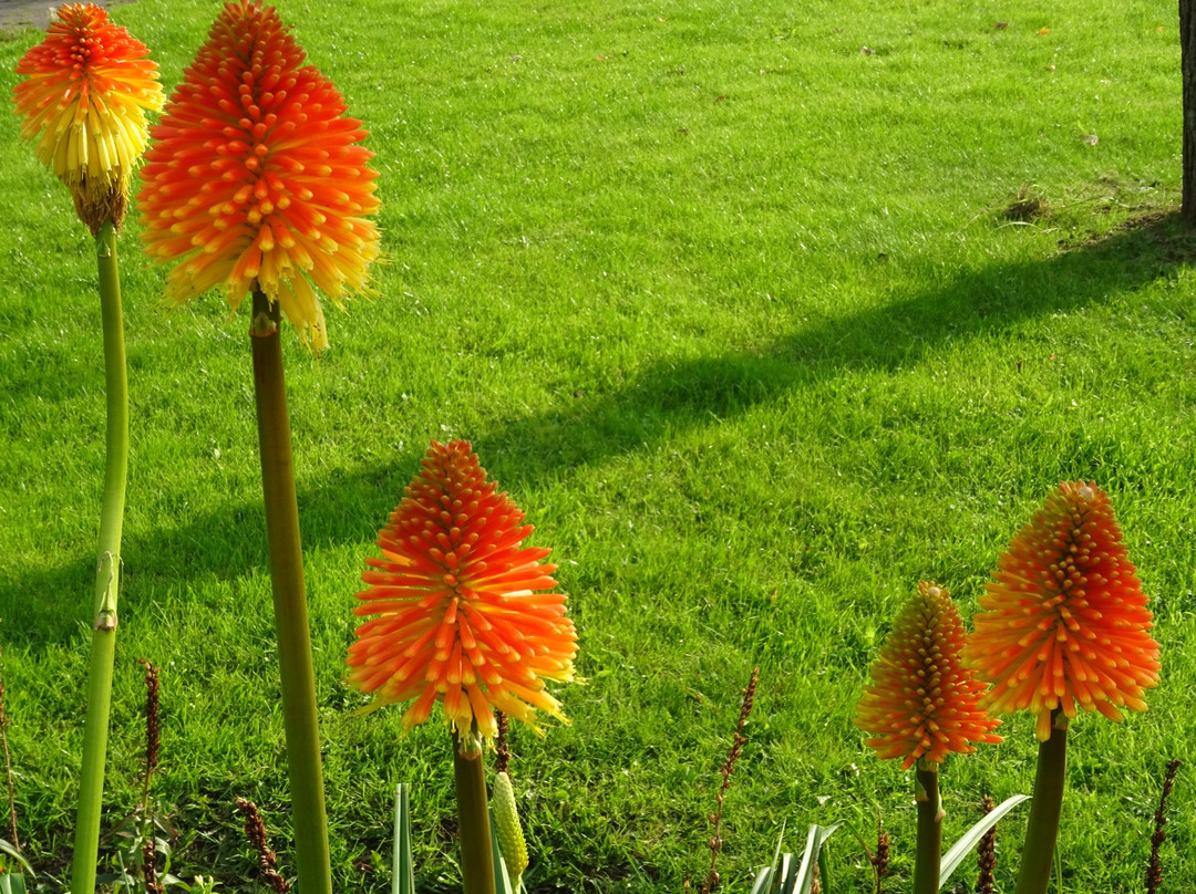 World Fashion Centre Amsterdam-阿姆斯特丹必去景点