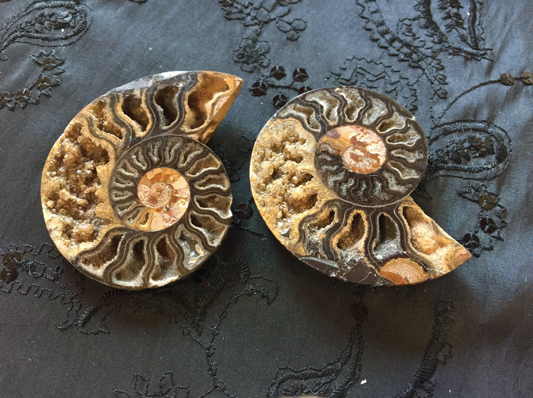TANDMGems Fine Minerals, Crystals & Fossils景点图片