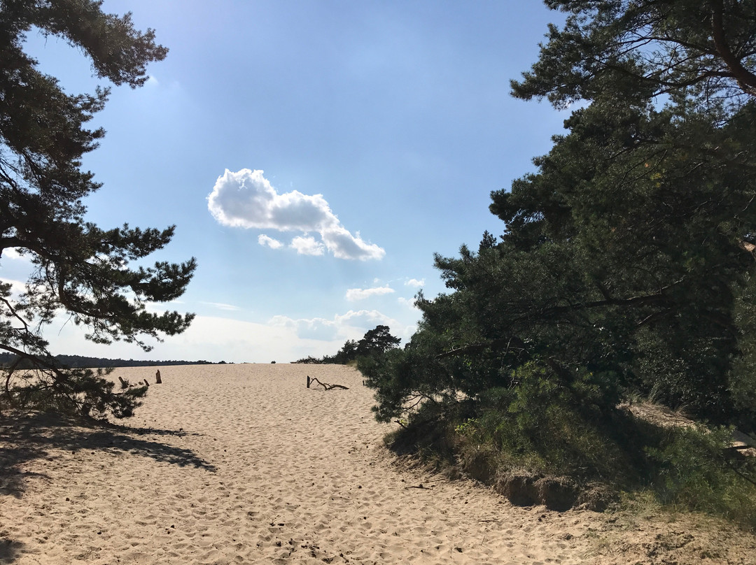 B&B Het Wellnest