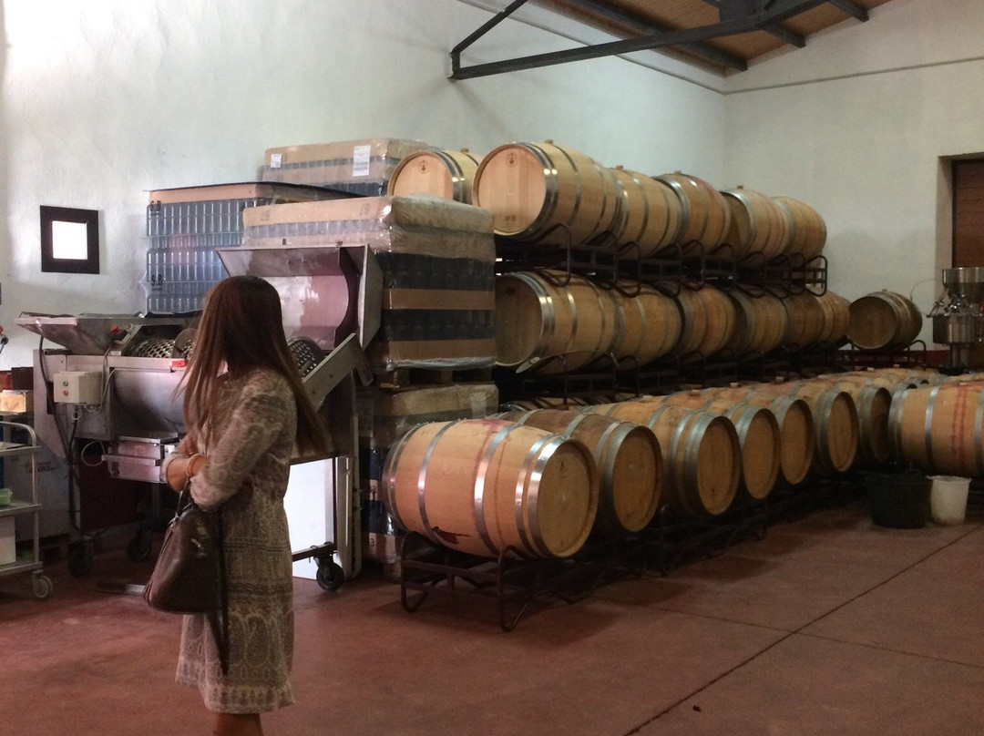 Bodegas Baden Numen-San Bernardo必去景点