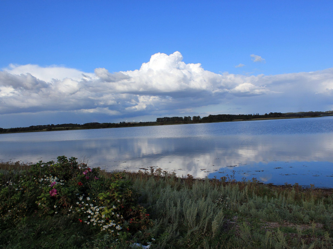 Helnæs Lighthouse景点图片