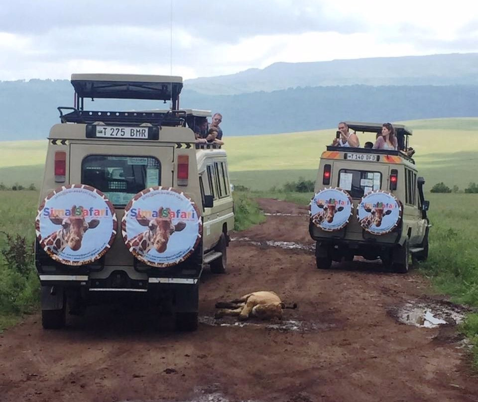 Sima Safari Limited-桑给巴尔市必去景点