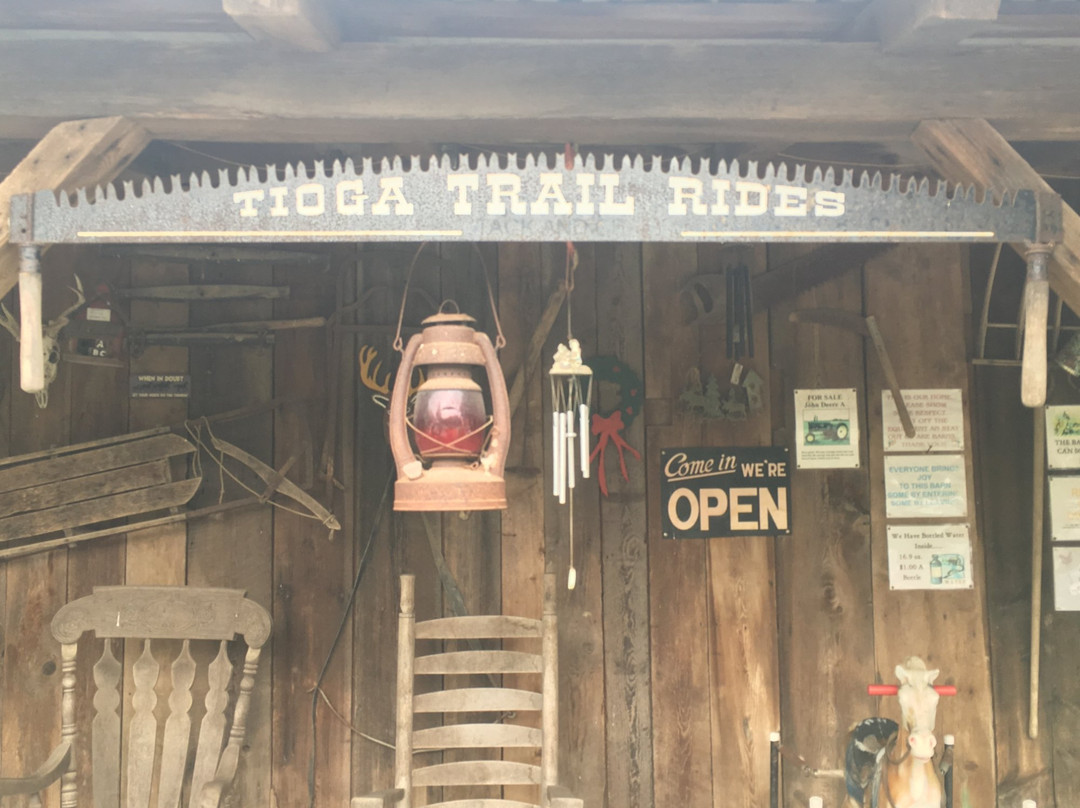 Tioga Trail Rides景点图片