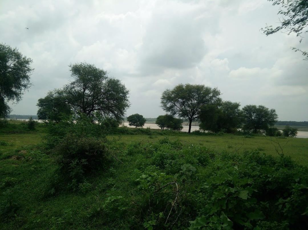 National Chambal Sanctuary NCS-阿格拉必去景点