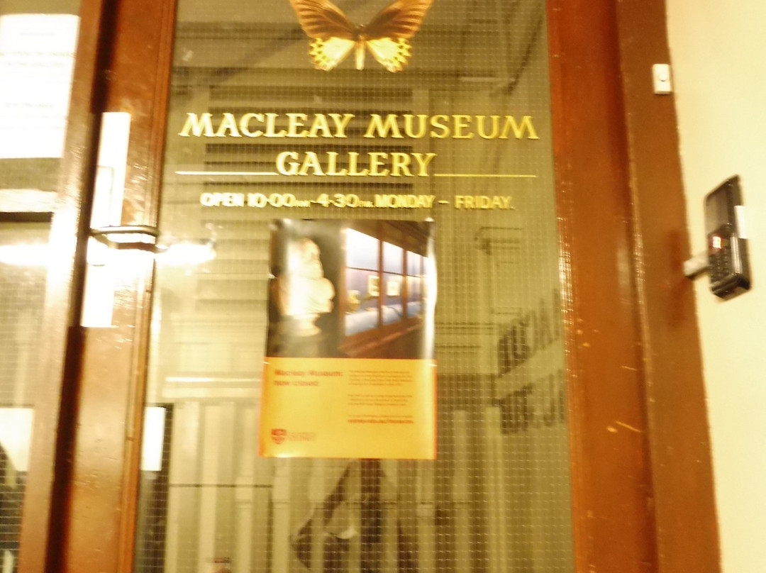 麦克里博物馆-悉尼必去景点