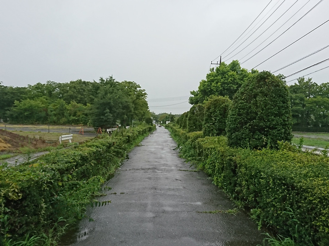 Shirakobato Water Park-越谷市必去景点