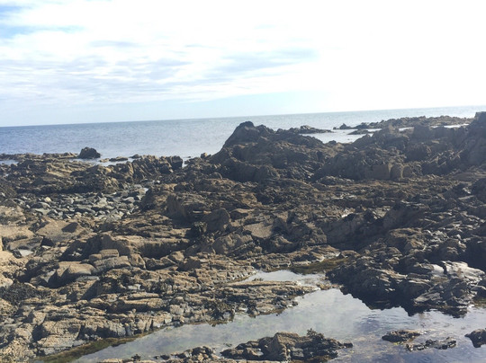 St. John's Point Lighthouse-Killough必去景点