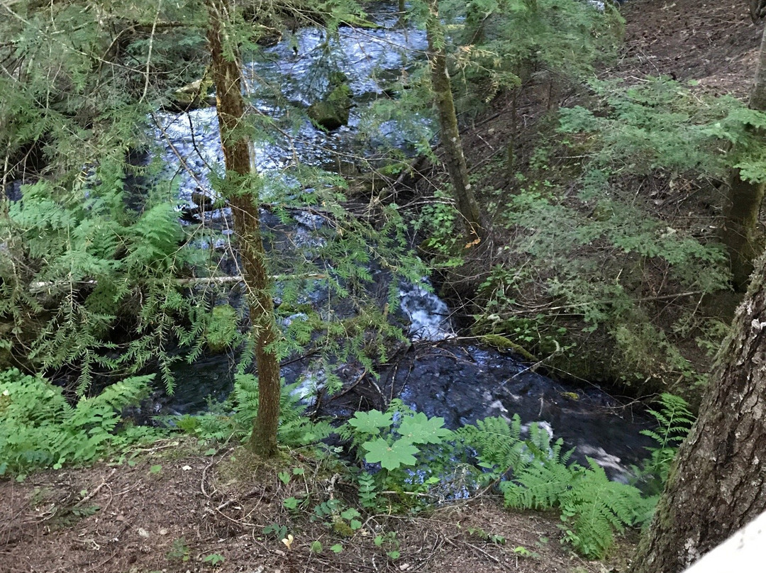 Silver Springs Campground-Enumclaw必去景点