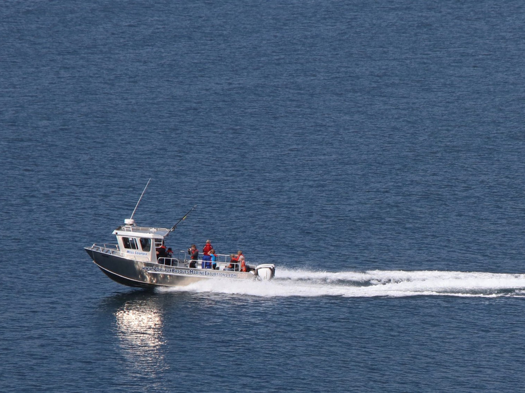 Port aux Basques Marine Excursions Inc.景点图片