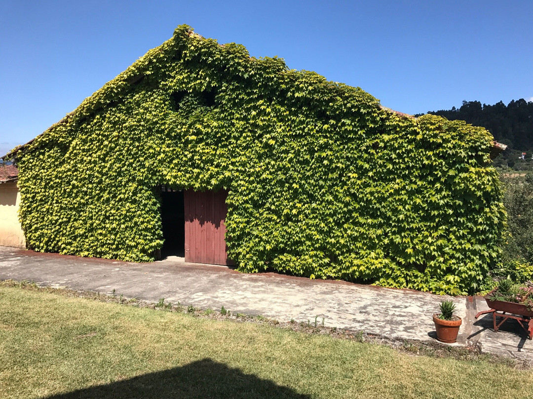 大瓦尔泽亚之家主图