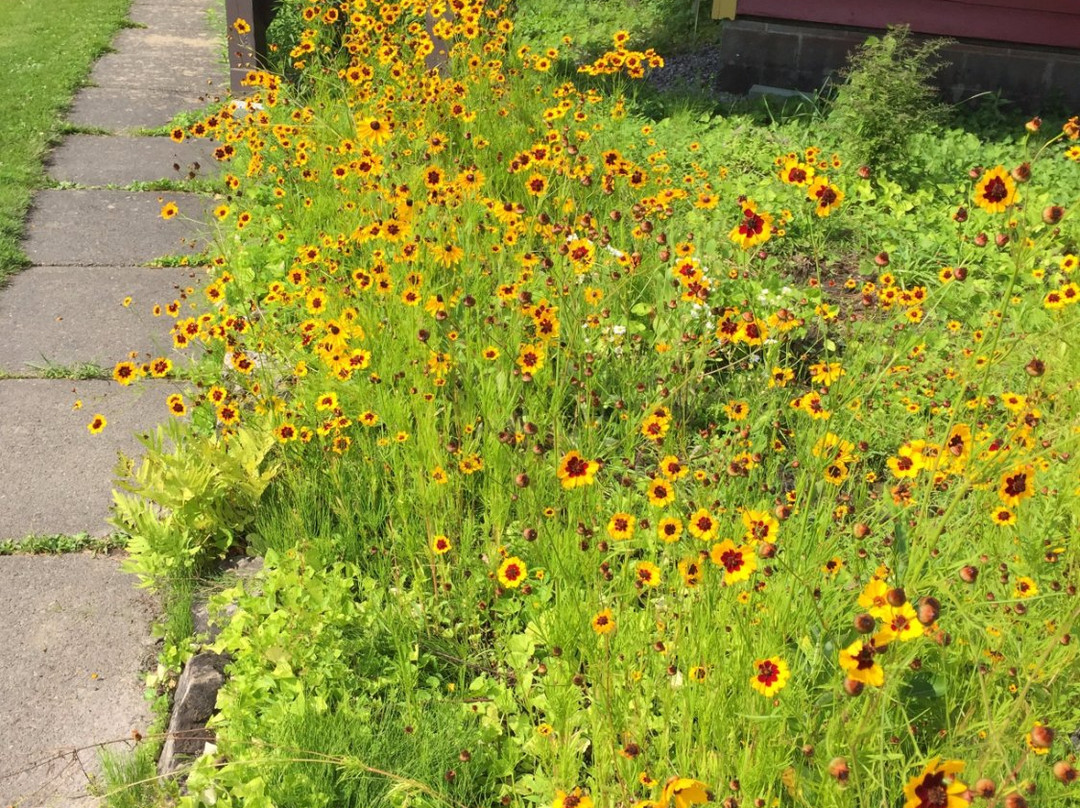 Saint Kateri Tekakwitha National Shrine and Historic Site-Fonda必去景点