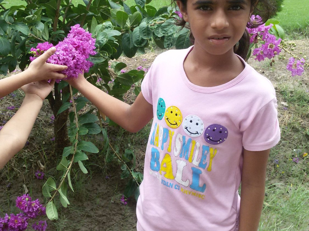 Lal Suhanra National Park-Bahawalpur必去景点