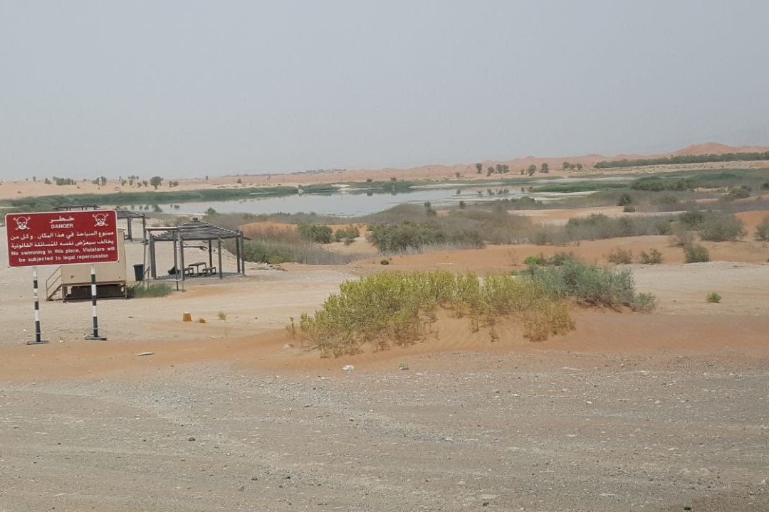 Lake Zakher-艾因市必去景点