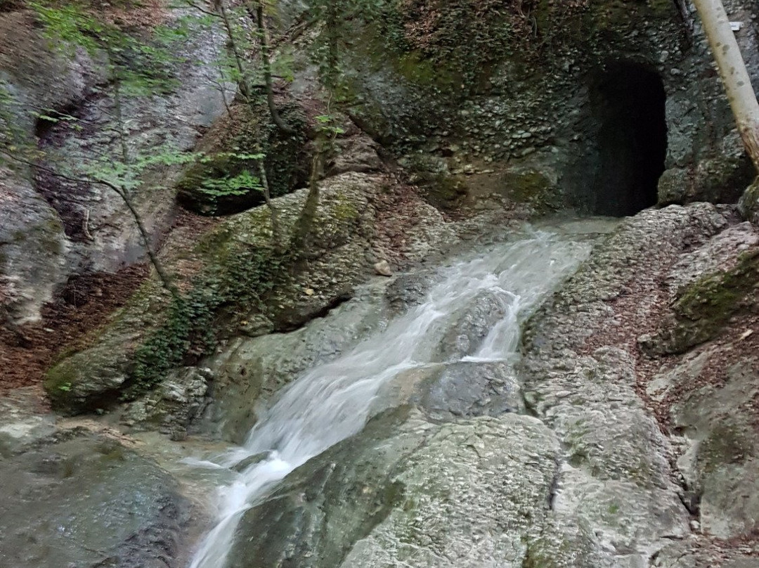 Aigner Park-萨尔茨堡必去景点