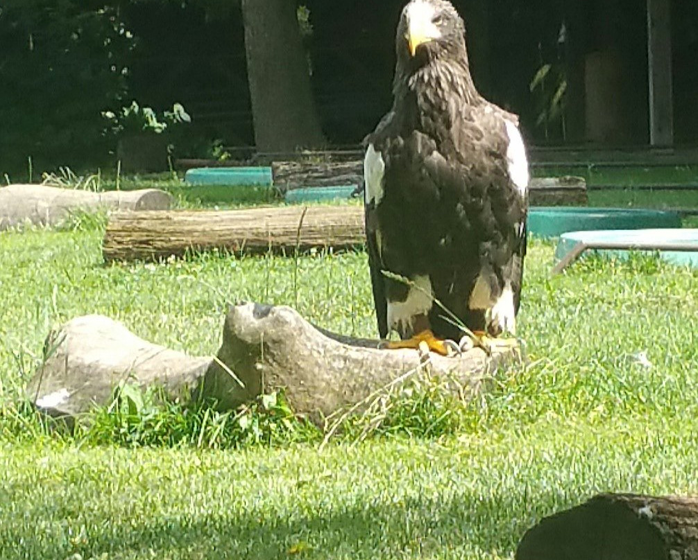 Adler- und Falkenhof-Kranichfeld必去景点