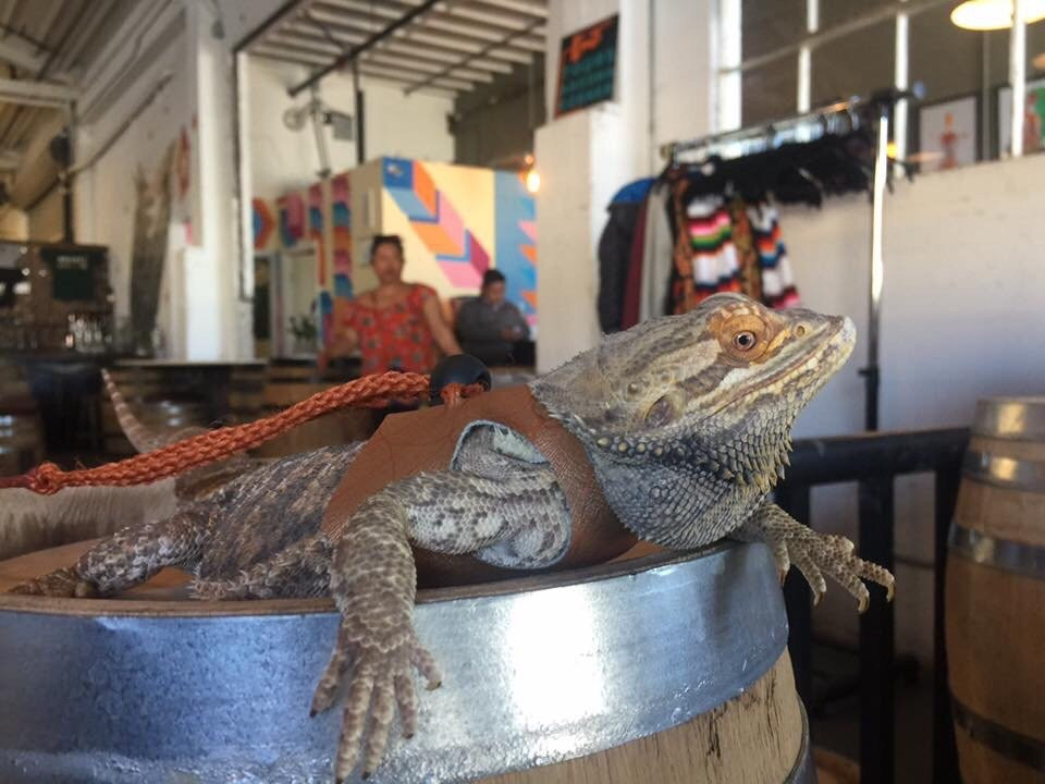 Seven Stills Brewery and Distillery-旧金山必去景点